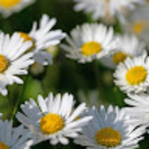 Meet your Posher, Krystal